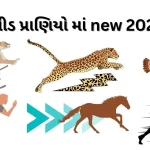 સ્પીડ પ્રાણિયો માં new 2024