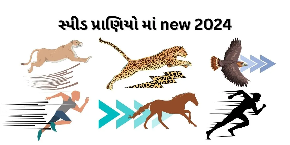 સ્પીડ પ્રાણિયો માં new 2024